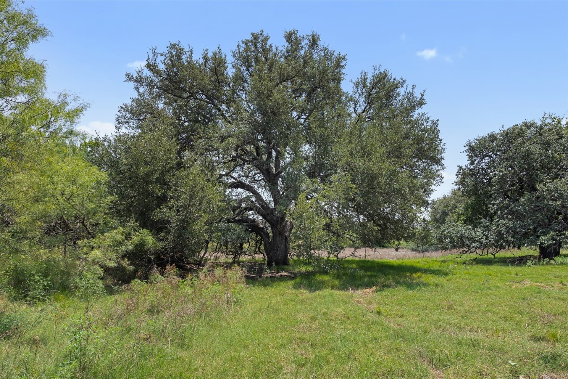 166.88 acres in McCulloch County - photo 37
