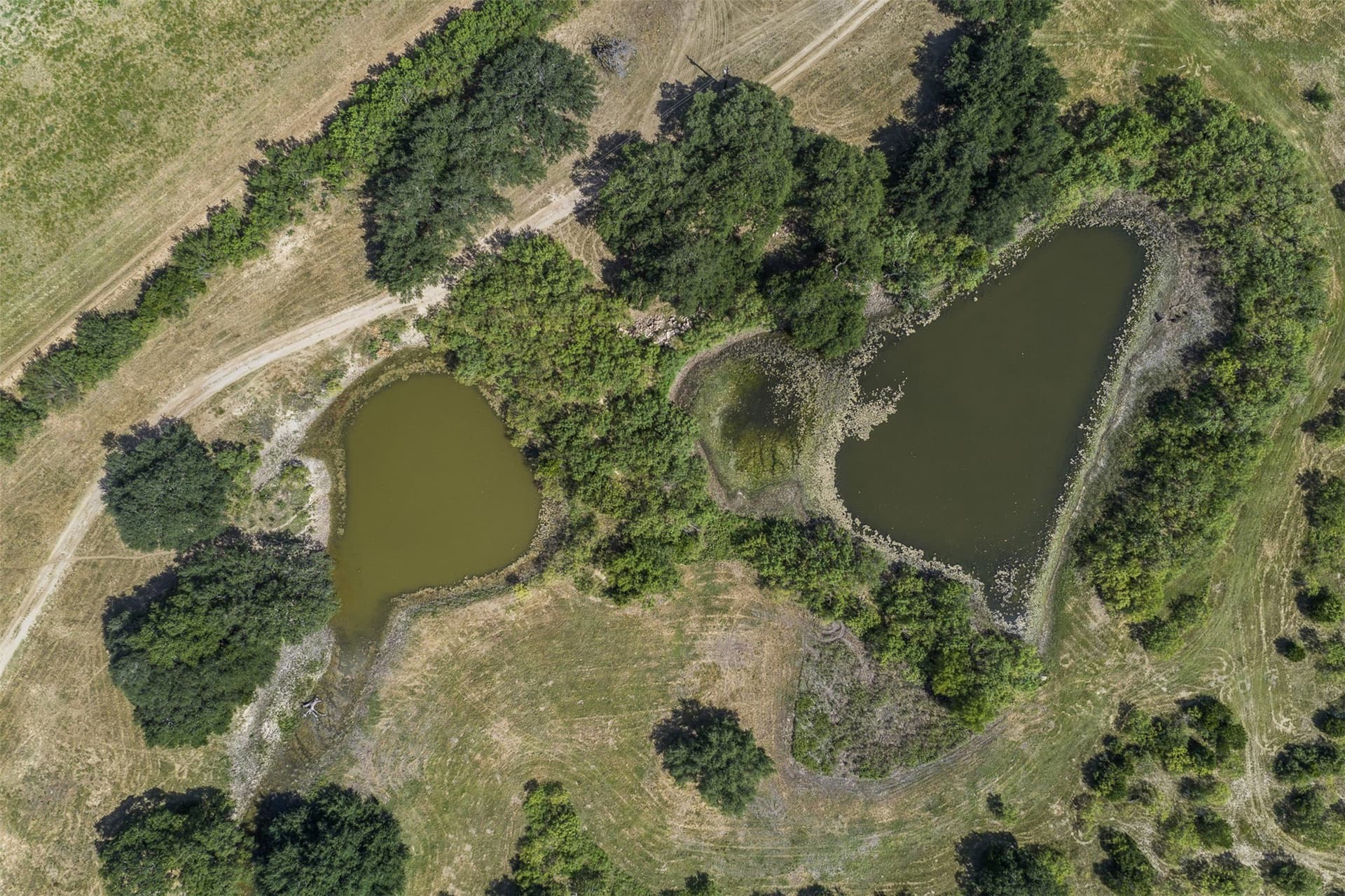 166.88 acres in McCulloch County - photo 12