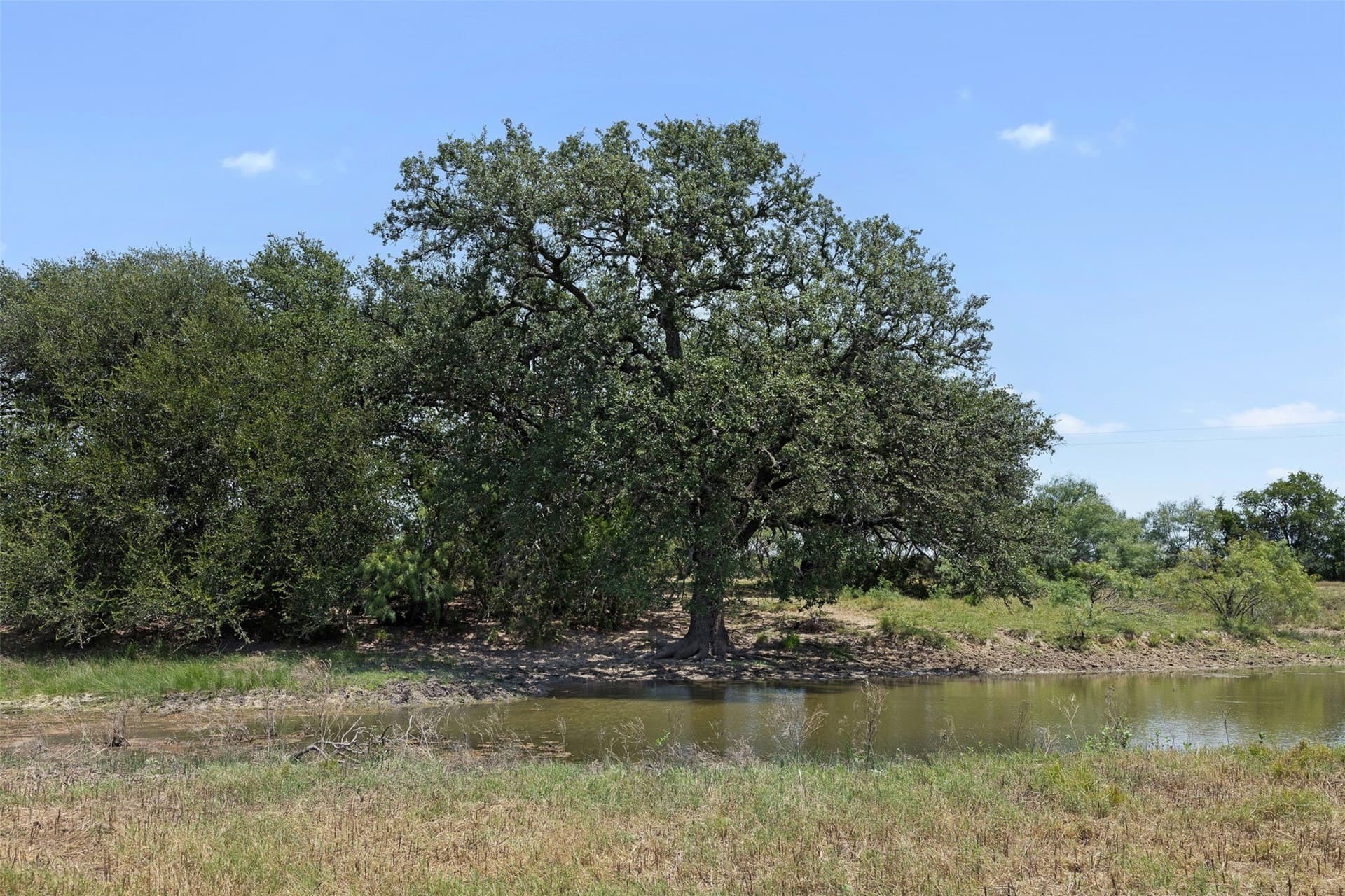 166.88 acres in McCulloch County - photo 32