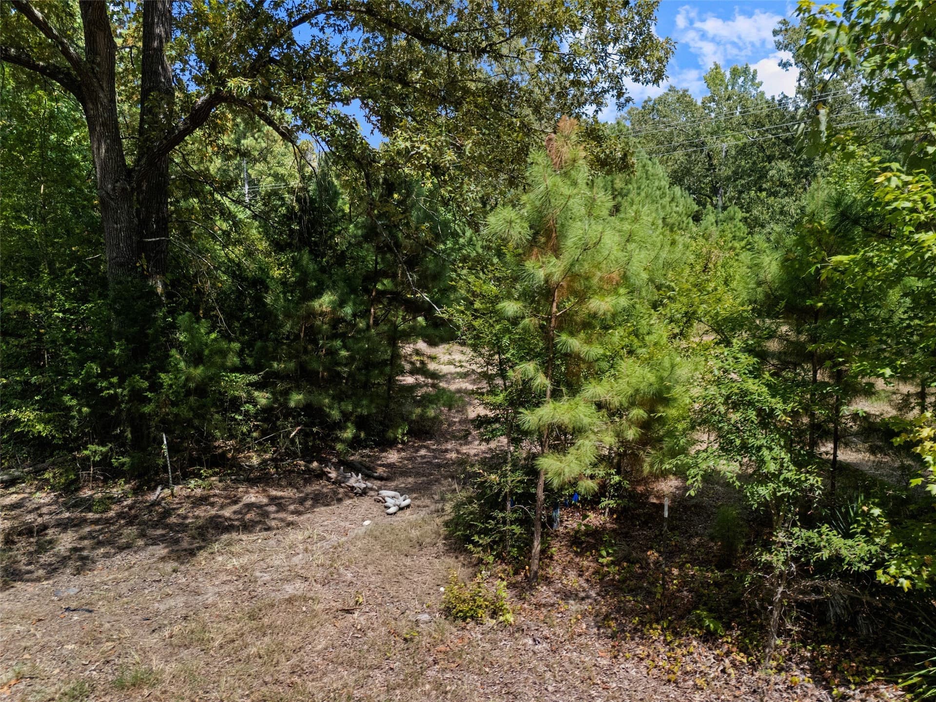 1.21 acres in Upshur County - photo 11