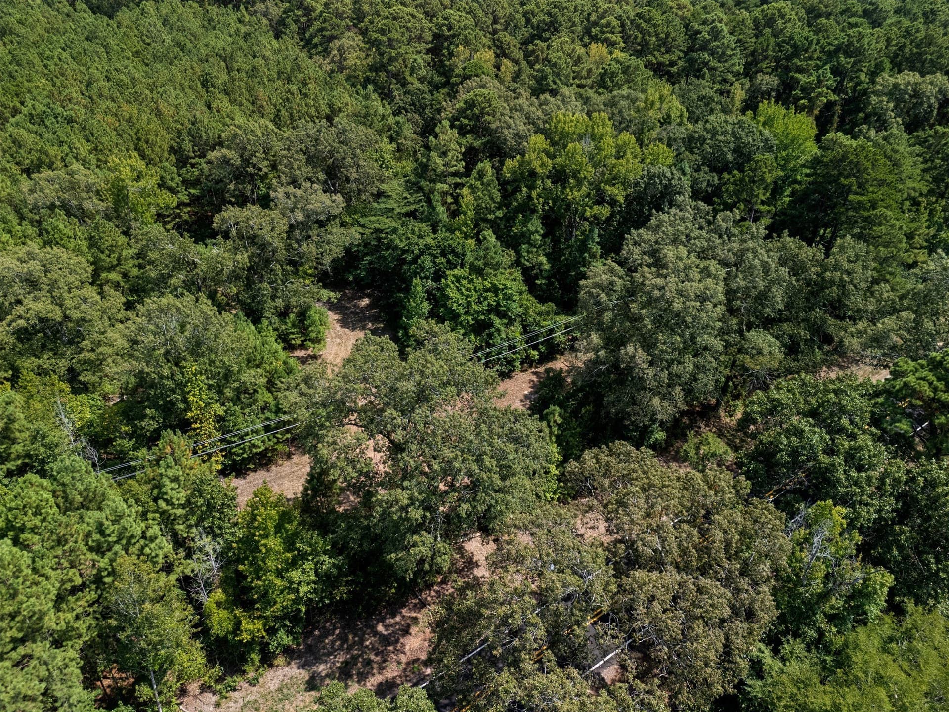 1.21 acres in Upshur County - photo 7