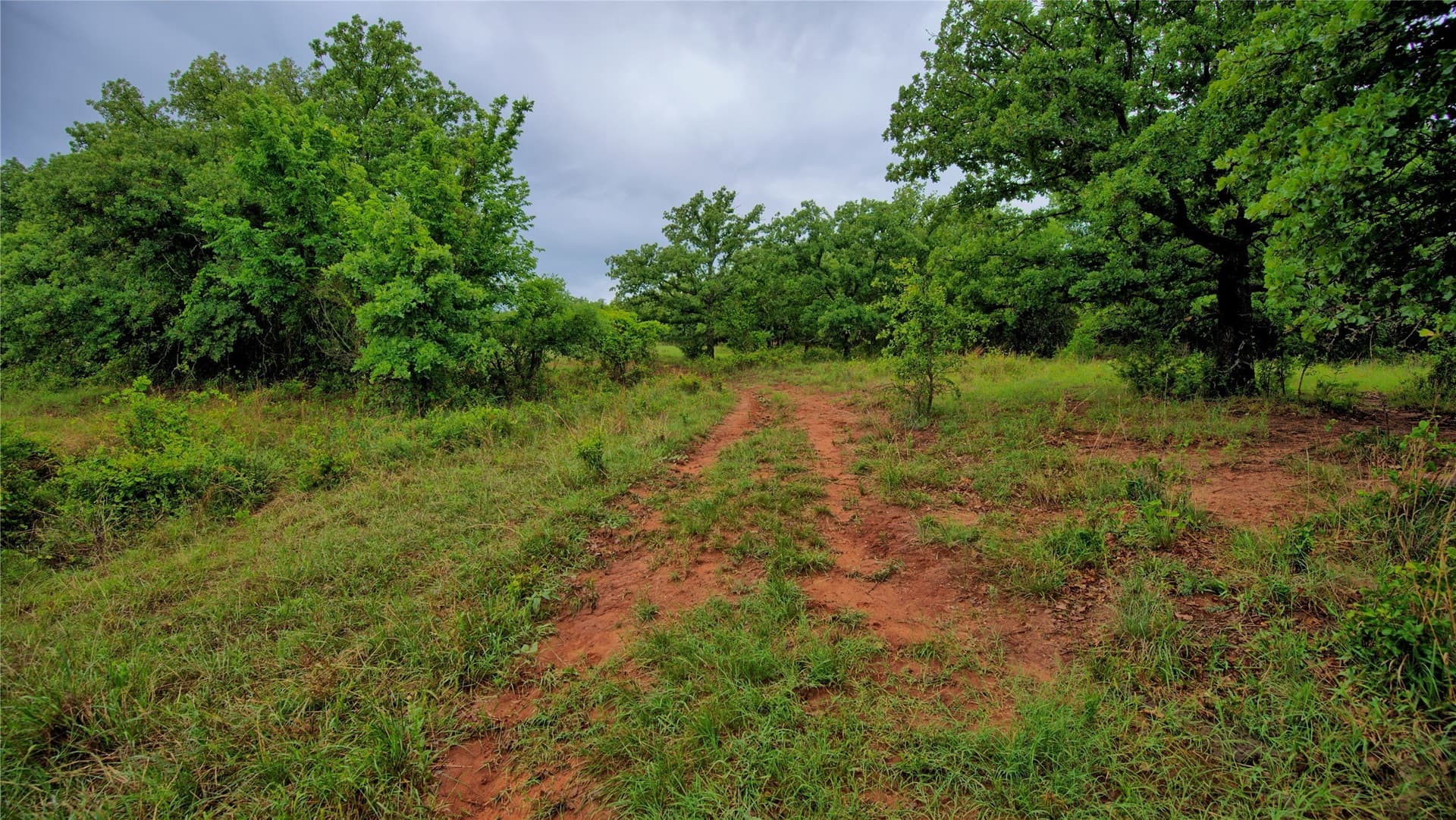 40 acres in Montague County - photo 34