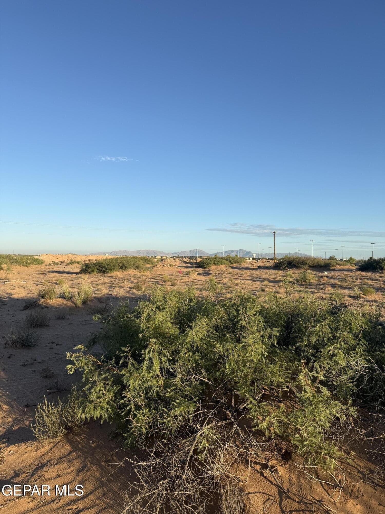 0.24 acres in El Paso County - photo 2