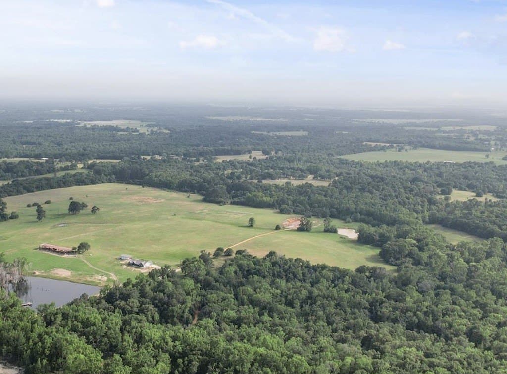 86.5 acres in Anderson County gallery image 4