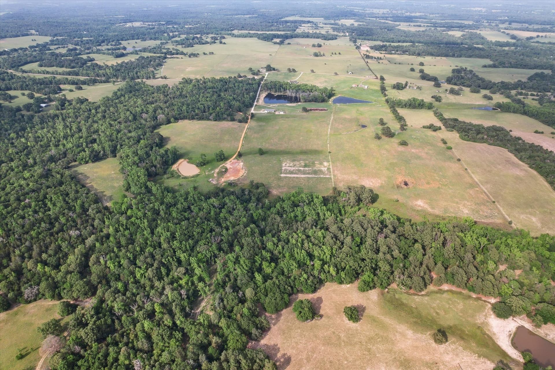 86.5 acres in Anderson County - photo 10