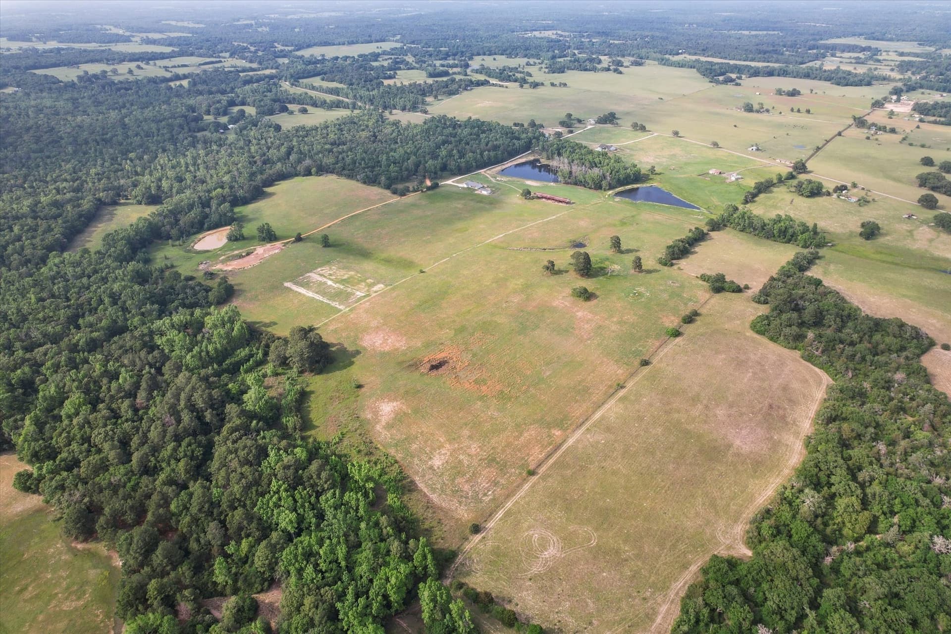 86.5 acres in Anderson County - photo 8