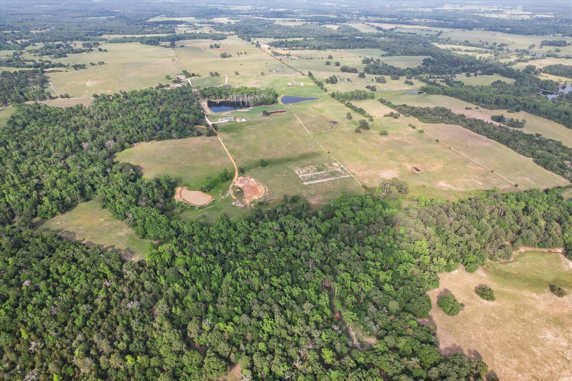 86.5 acres in Anderson County - photo 12