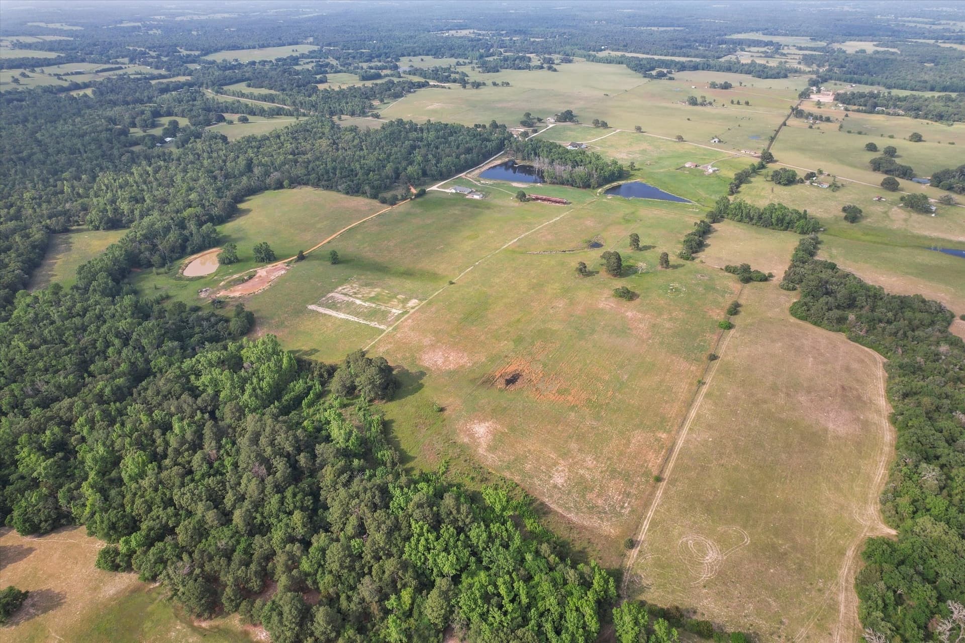 86.5 acres in Anderson County - photo 9