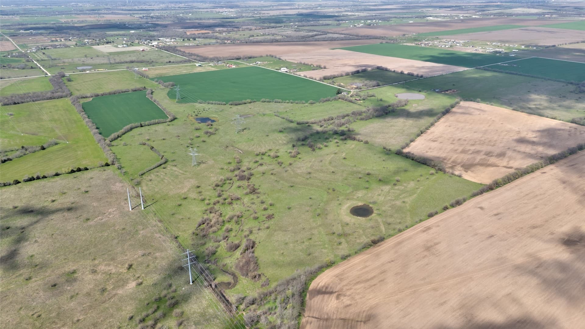 141.13 acres in Grayson County - photo 38