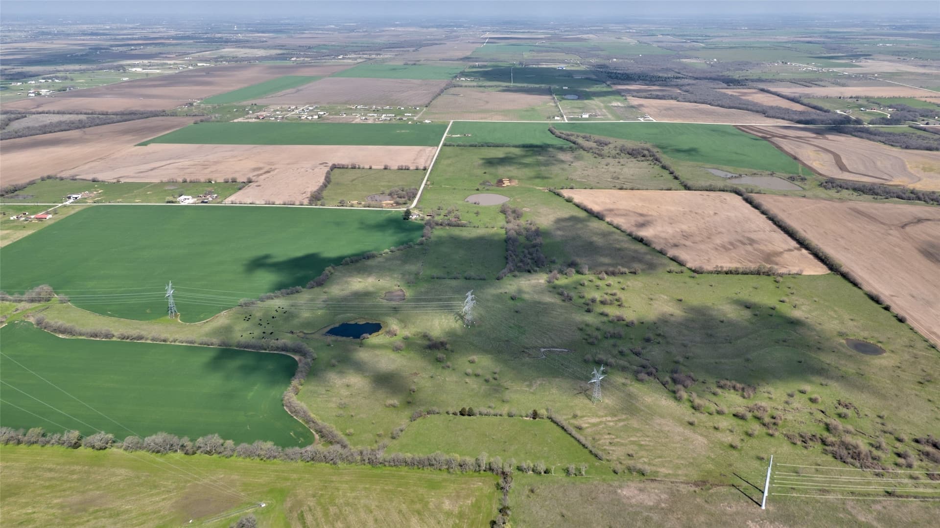 141.13 acres in Grayson County - photo 36