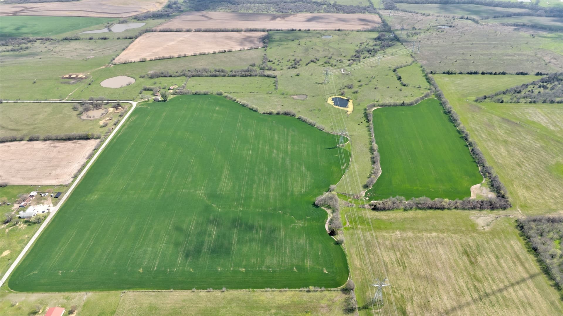 141.13 acres in Grayson County - photo 19