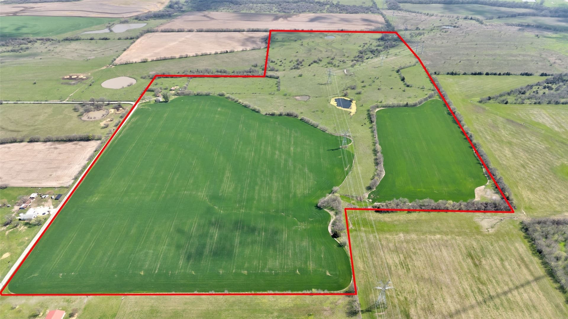 141.13 acres in Grayson County - photo 18