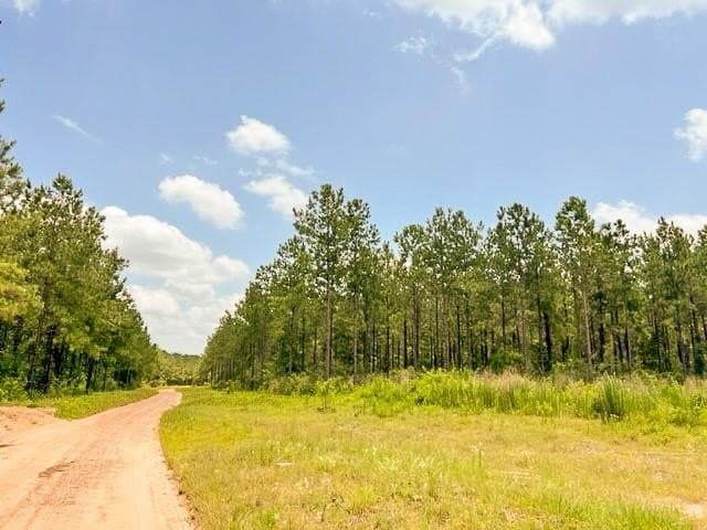 24 acres in Tyler County
