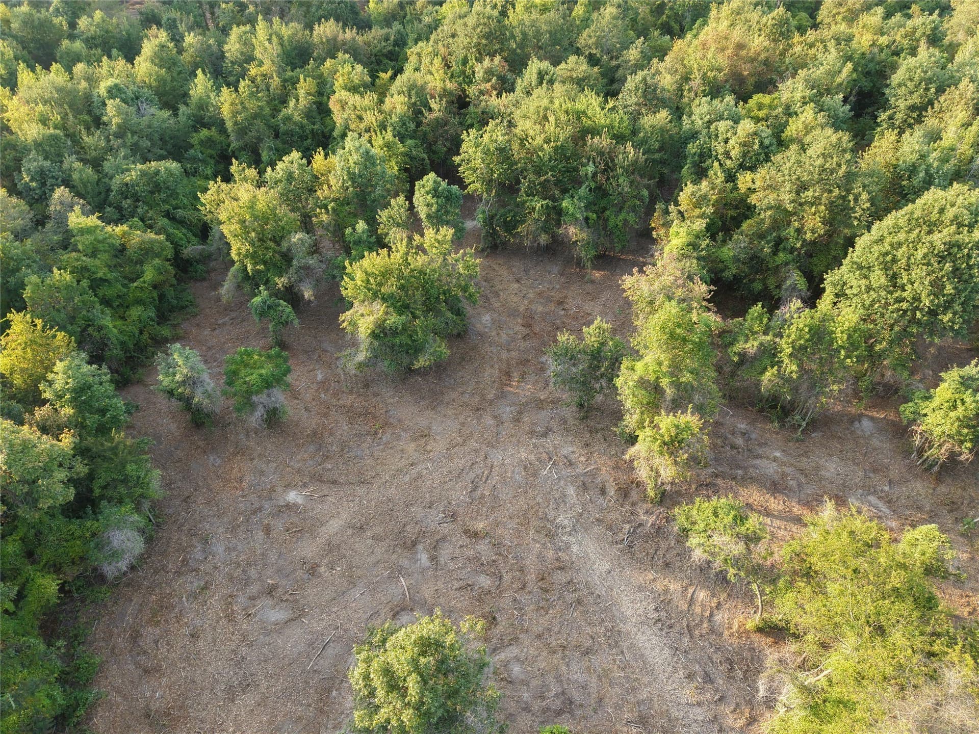 3.53 acres in Camp County - photo 8