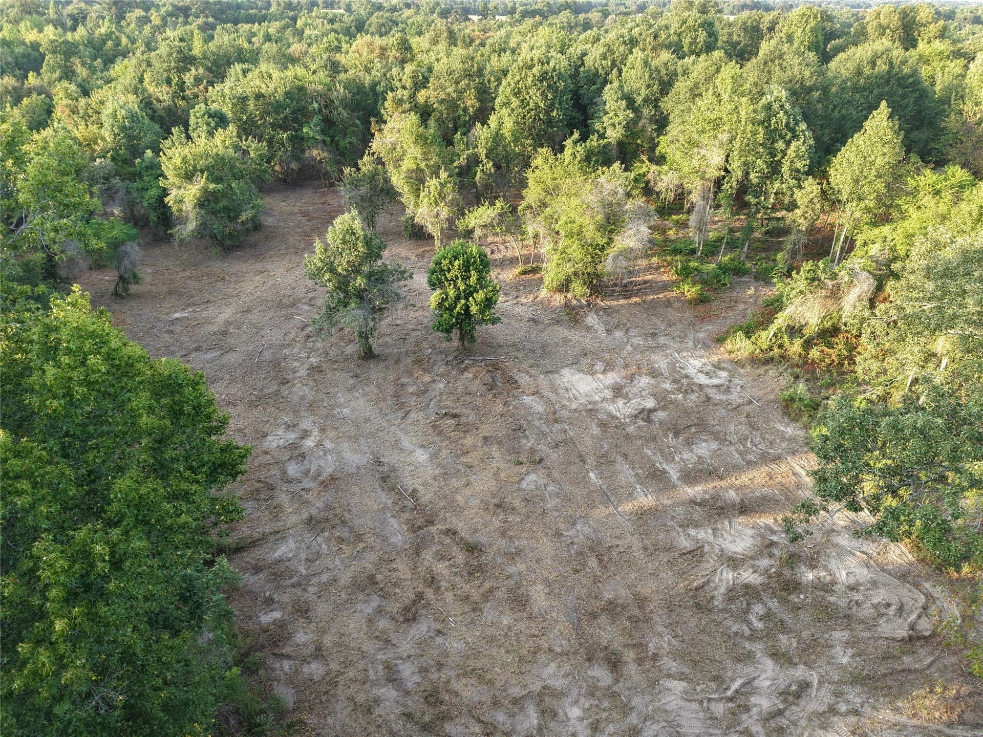 3.53 acres in Camp County - photo 6