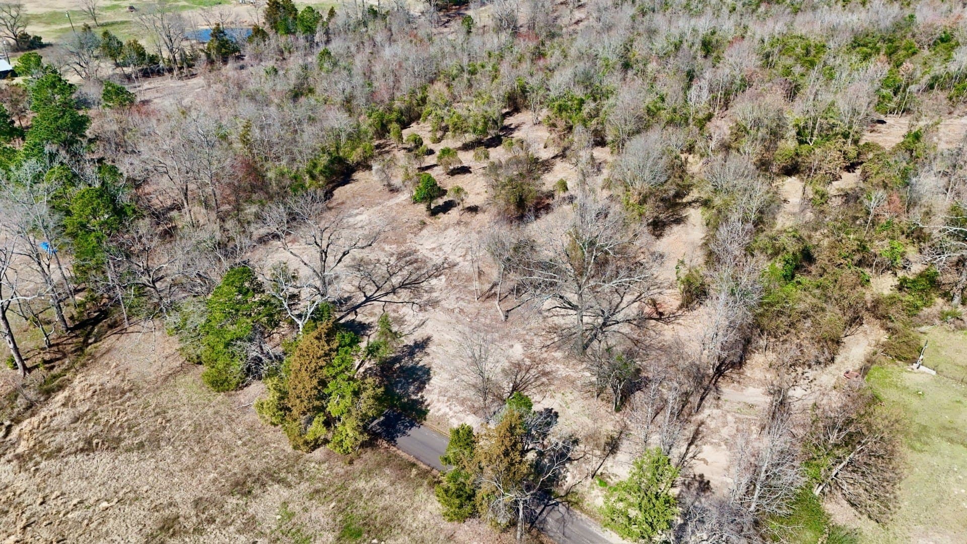 3.53 acres in Camp County - photo 4