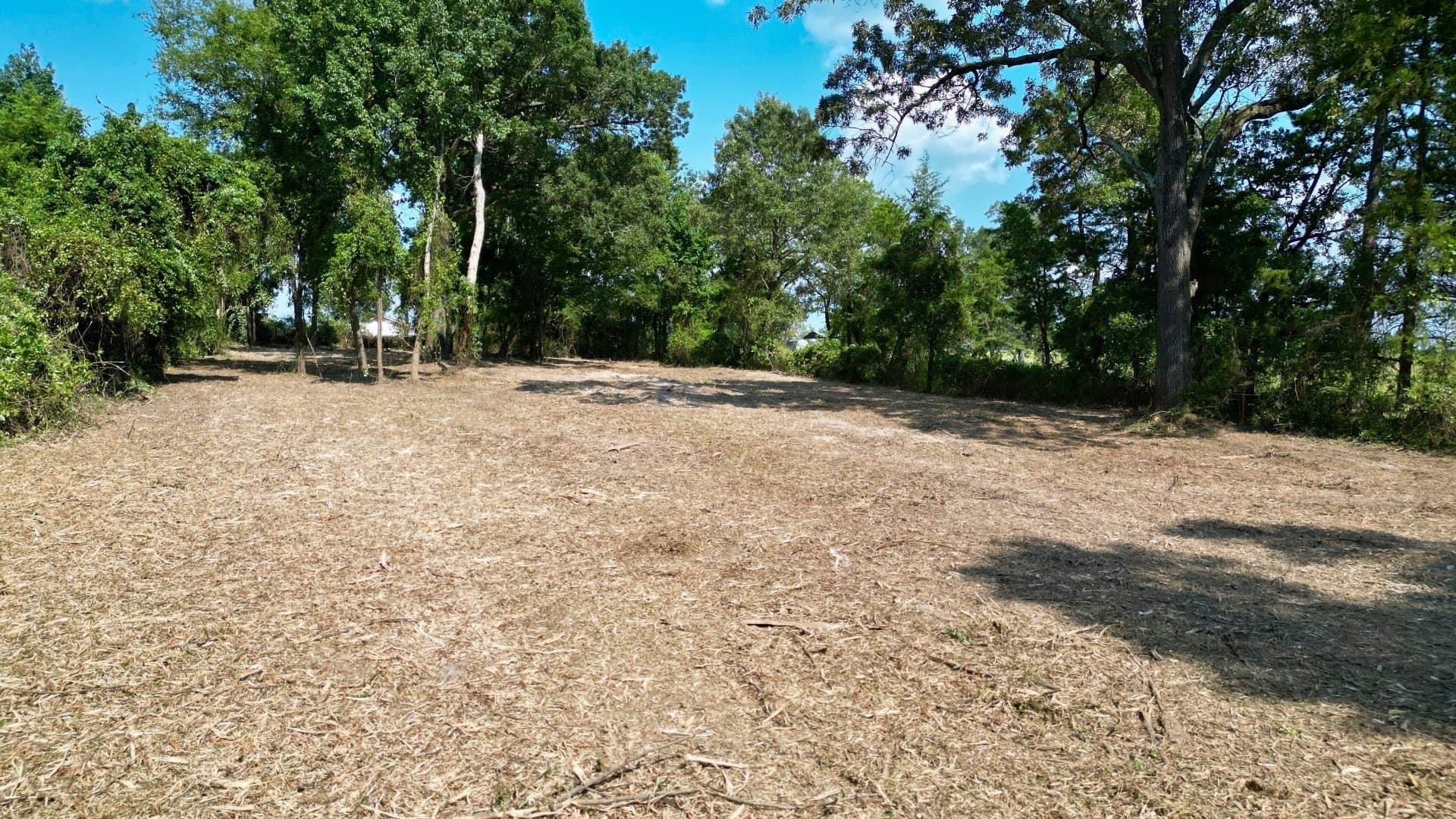 3.53 acres in Camp County - photo 8