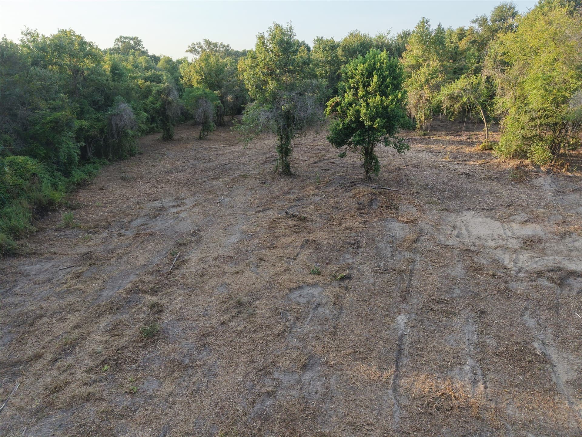 3.53 acres in Camp County - photo 5
