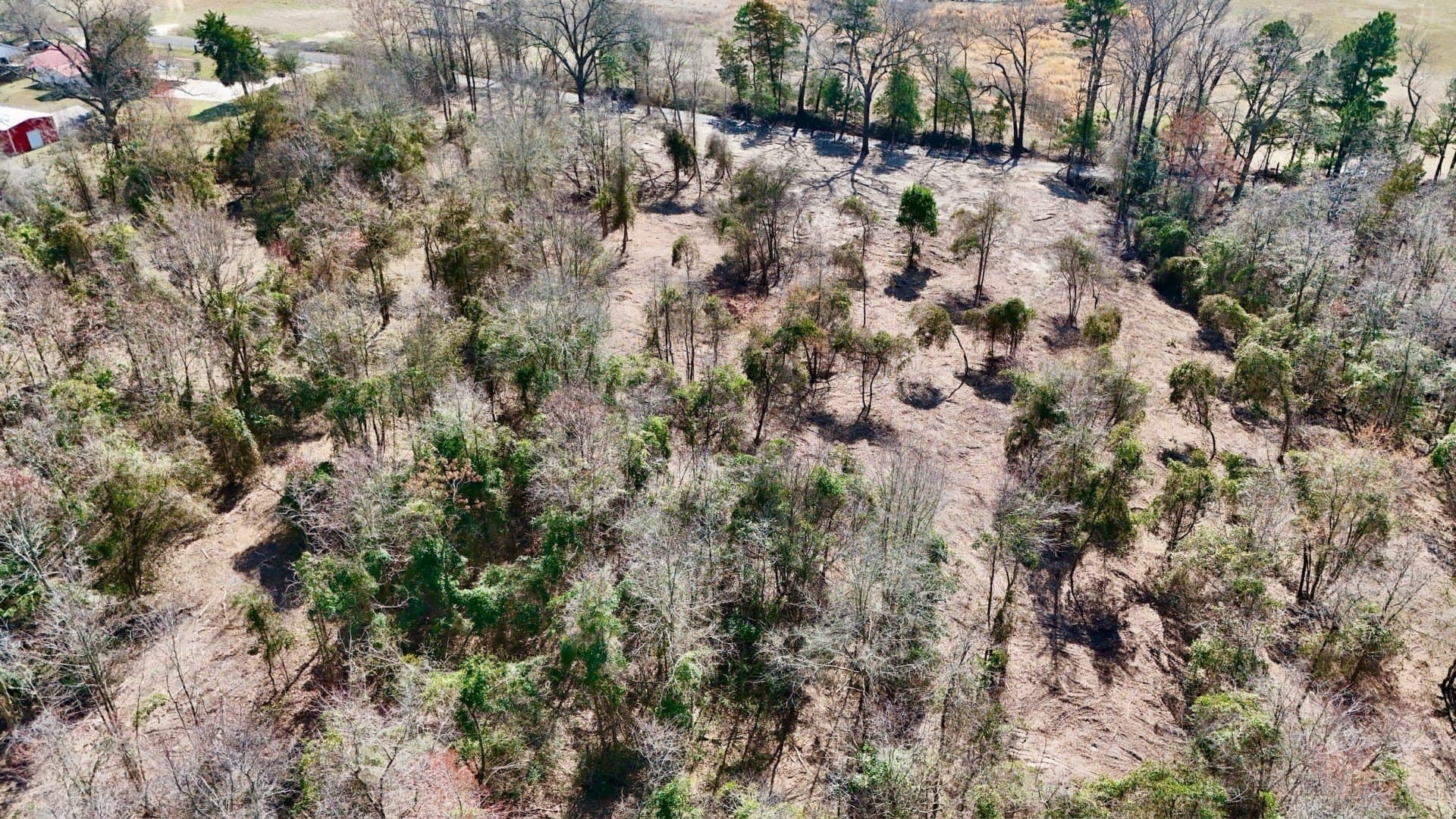 3.53 acres in Camp County - photo 3