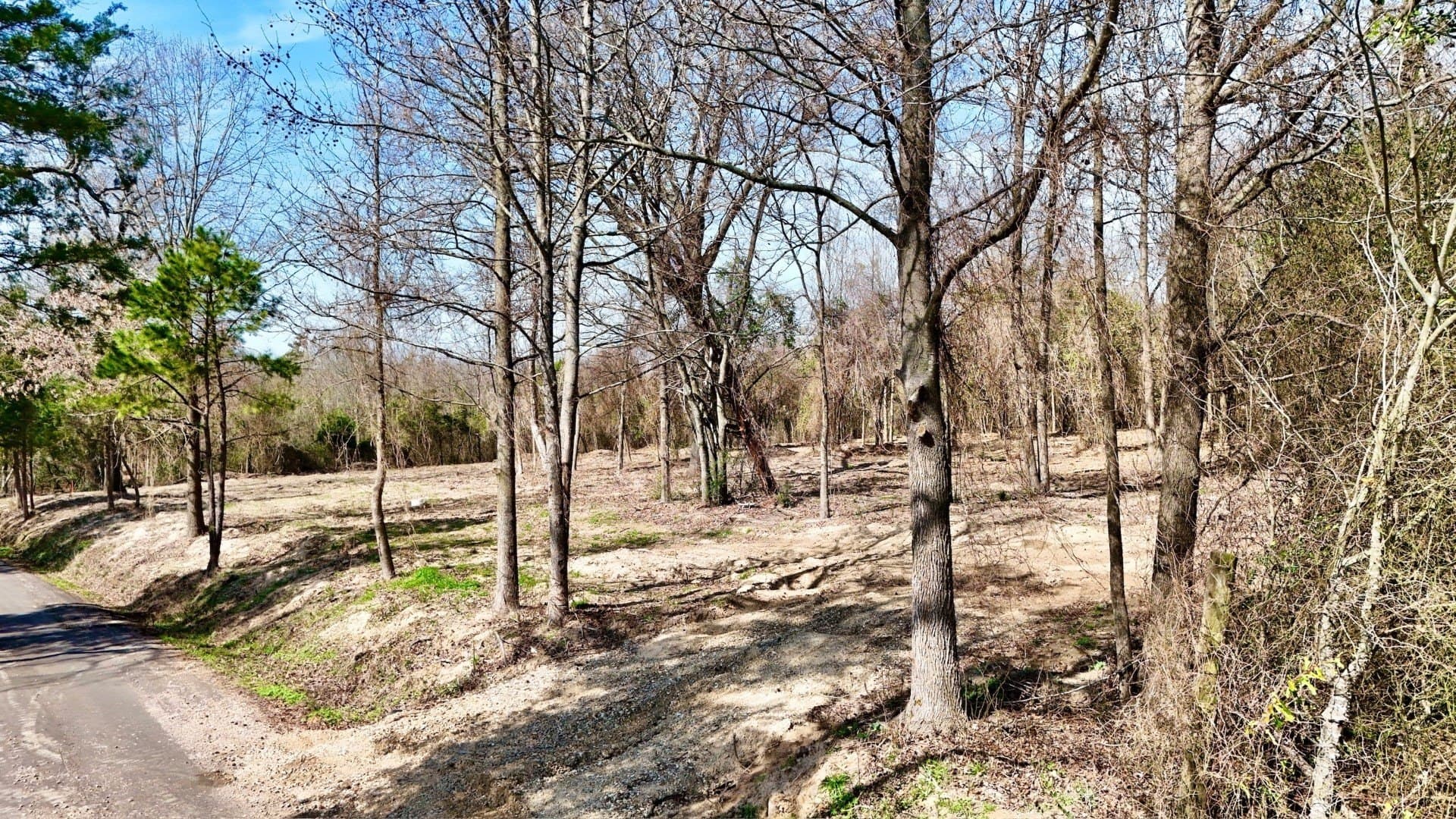 3.53 acres in Camp County - photo 5