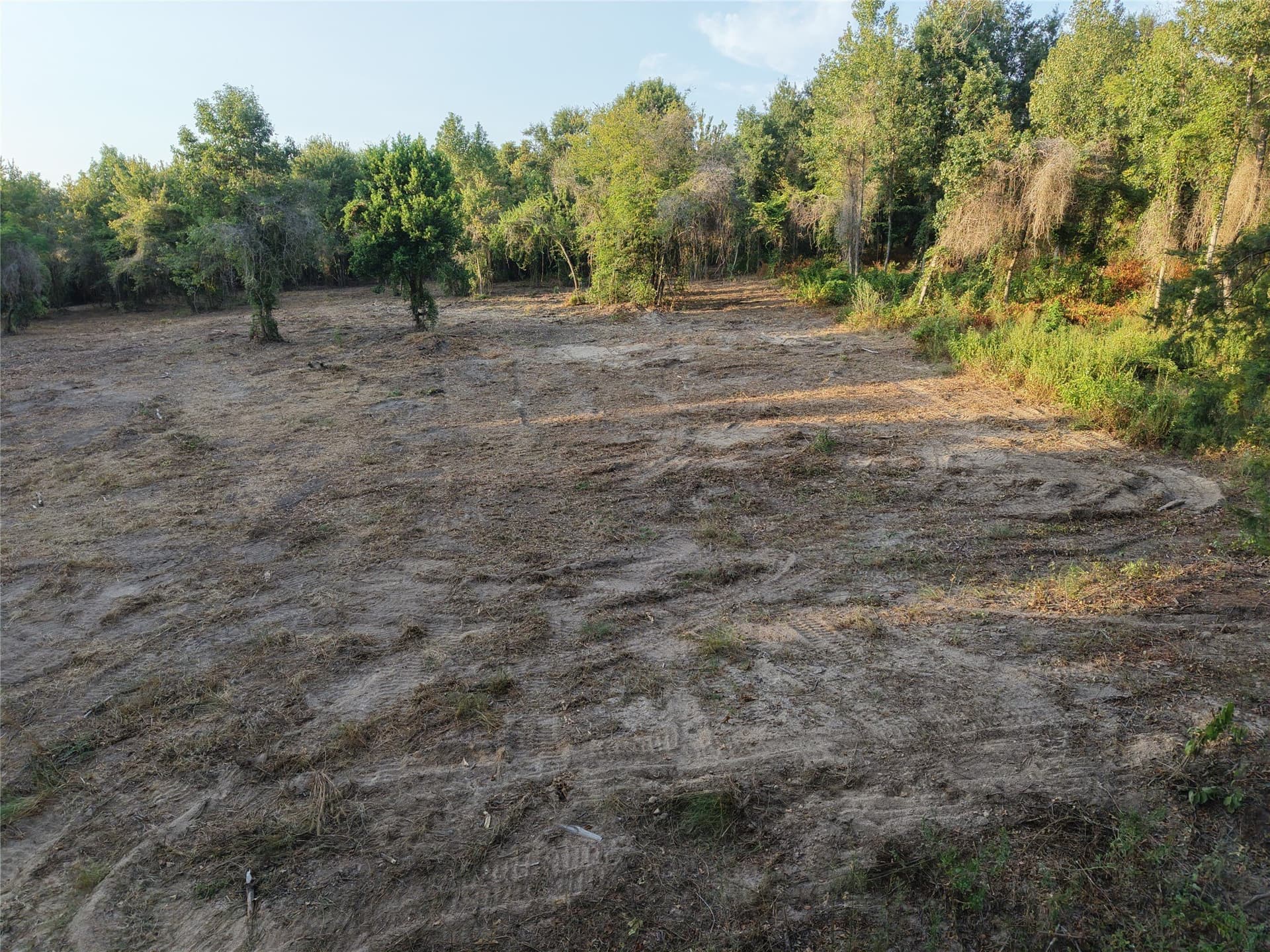 3.53 acres in Camp County - photo 4