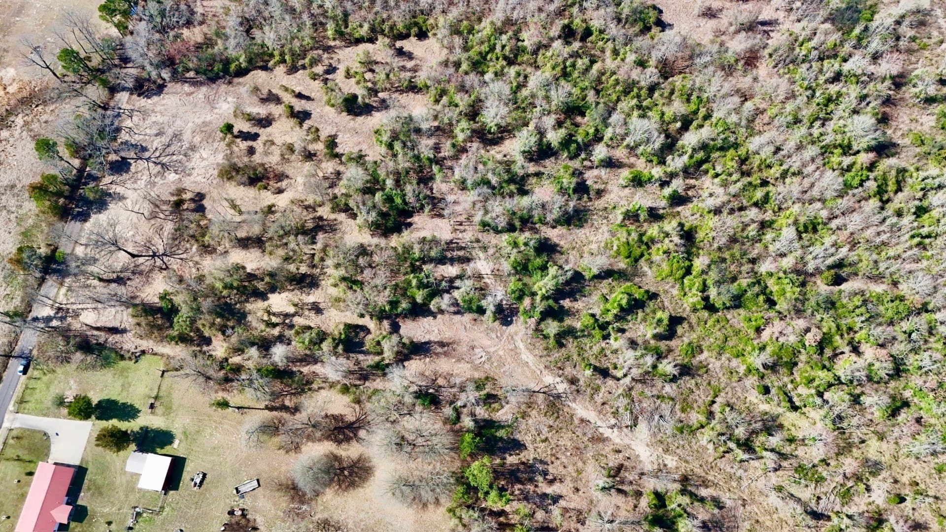 3.53 acres in Camp County - photo 2