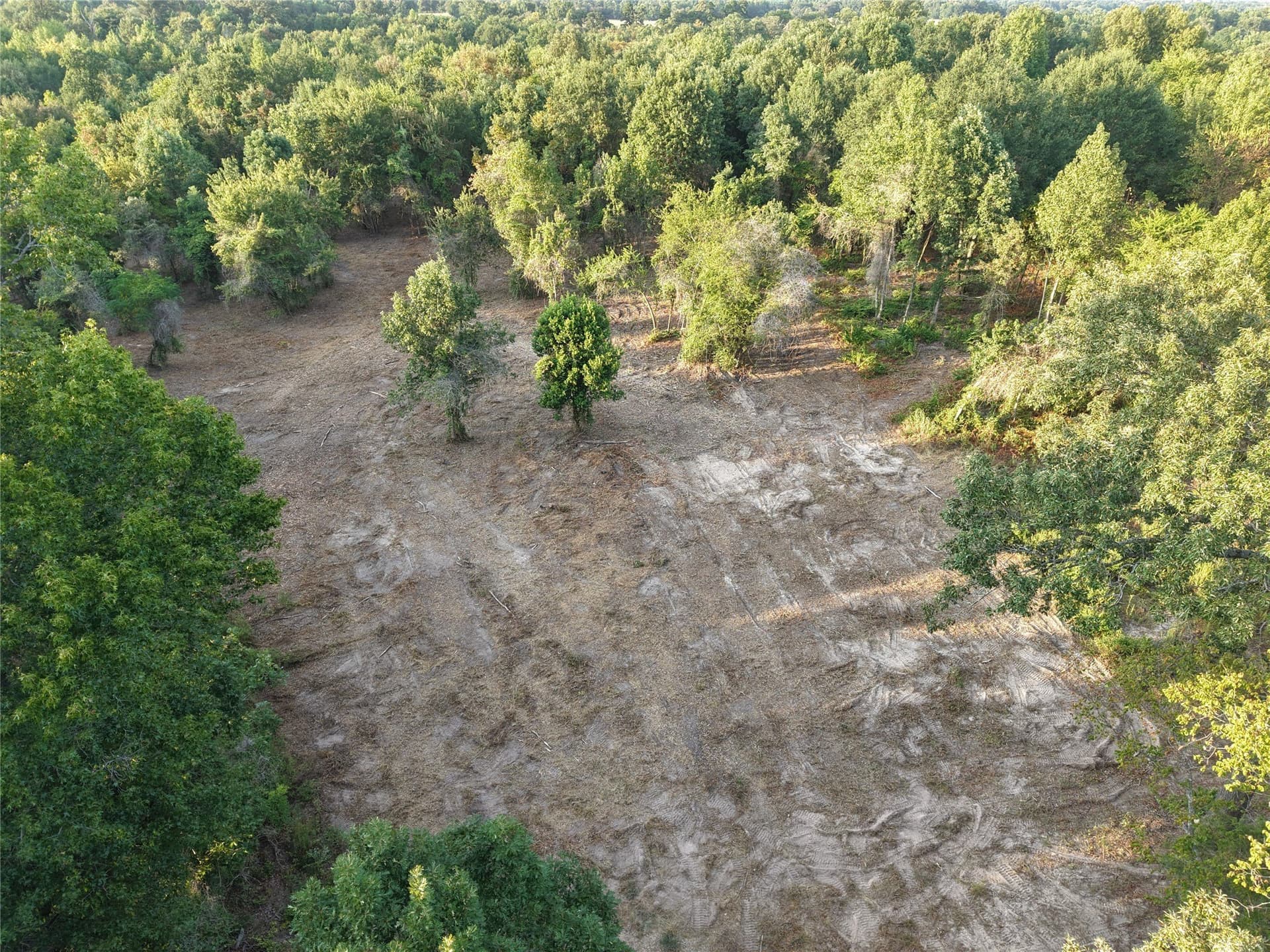 3.53 acres in Camp County - photo 7