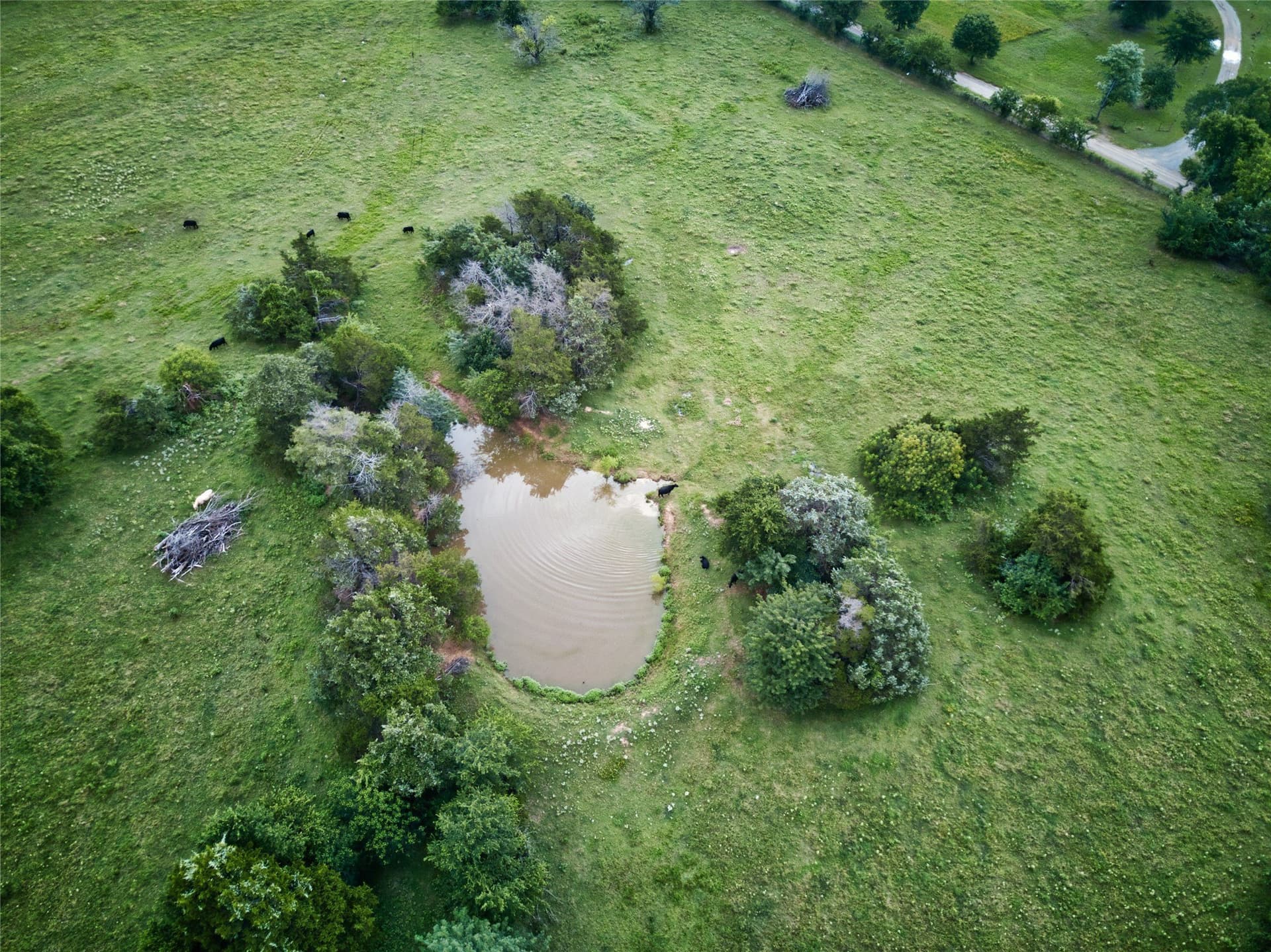 157.24 acres in Fannin County - photo 14