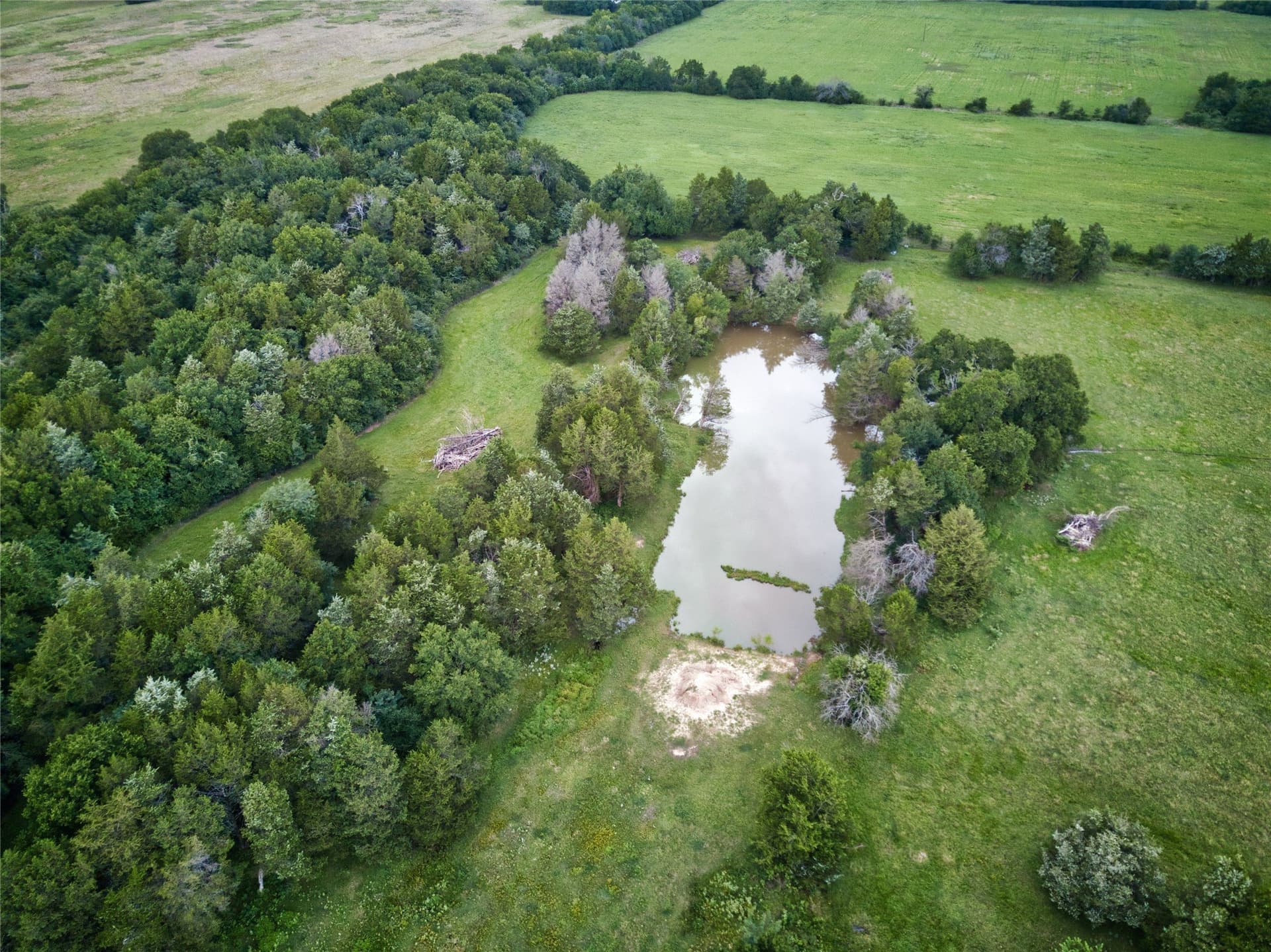 157.24 acres in Fannin County - photo 15