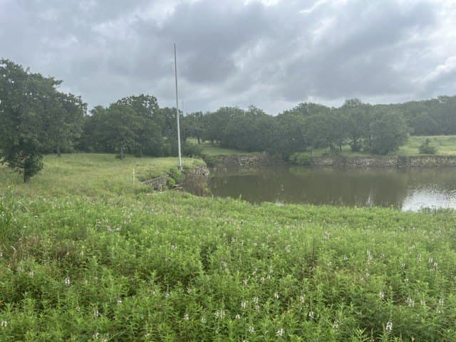2 acres in Wise County - photo 9