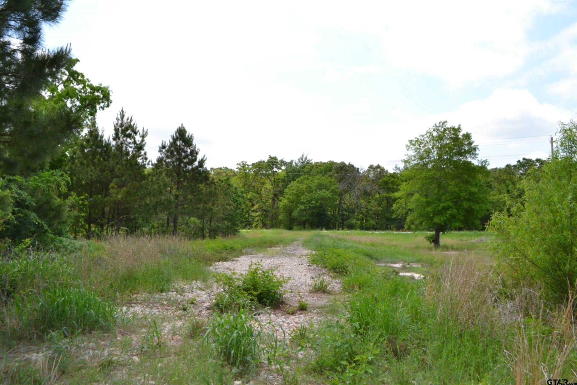 6.4 acres in Wood County gallery image 4