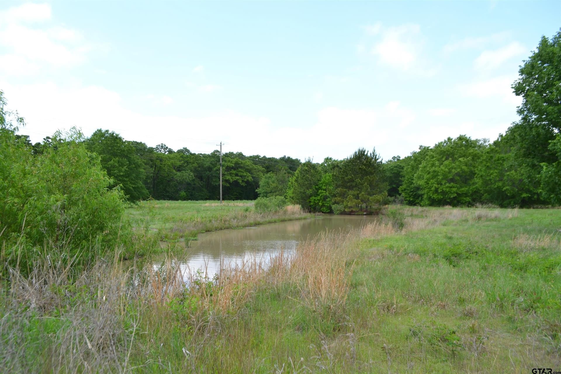 6.4 acres in Wood County gallery image 3