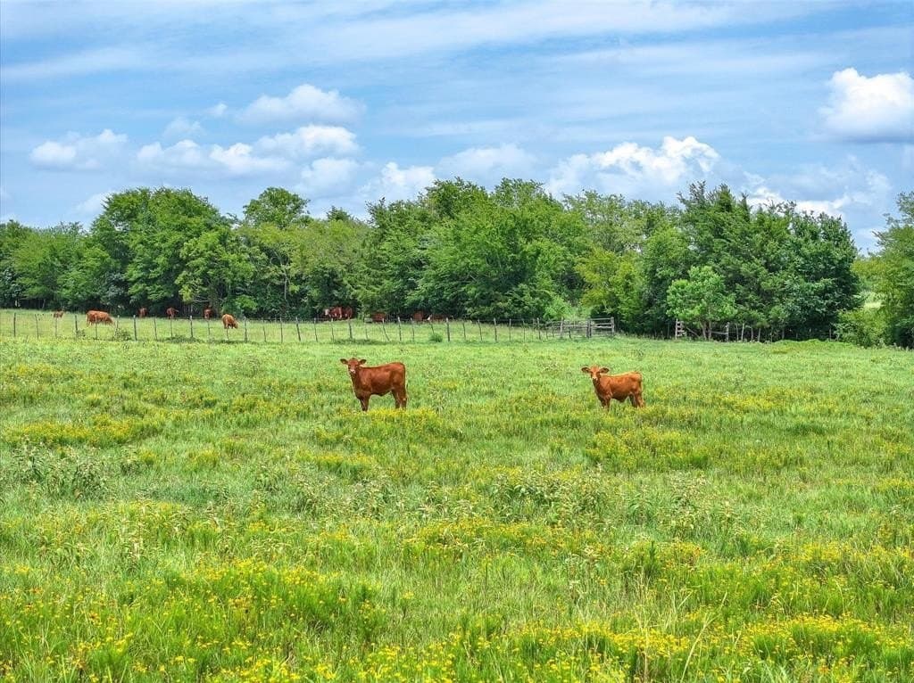 10 acres in Cherokee County featured view