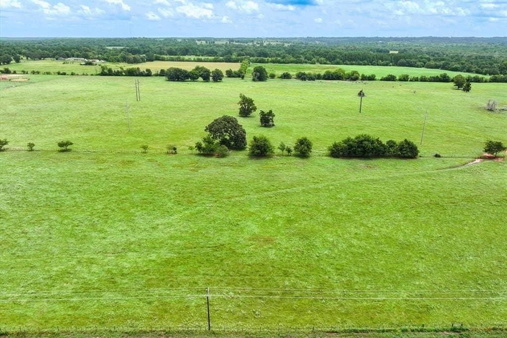 10 acres in Cherokee County gallery image 4