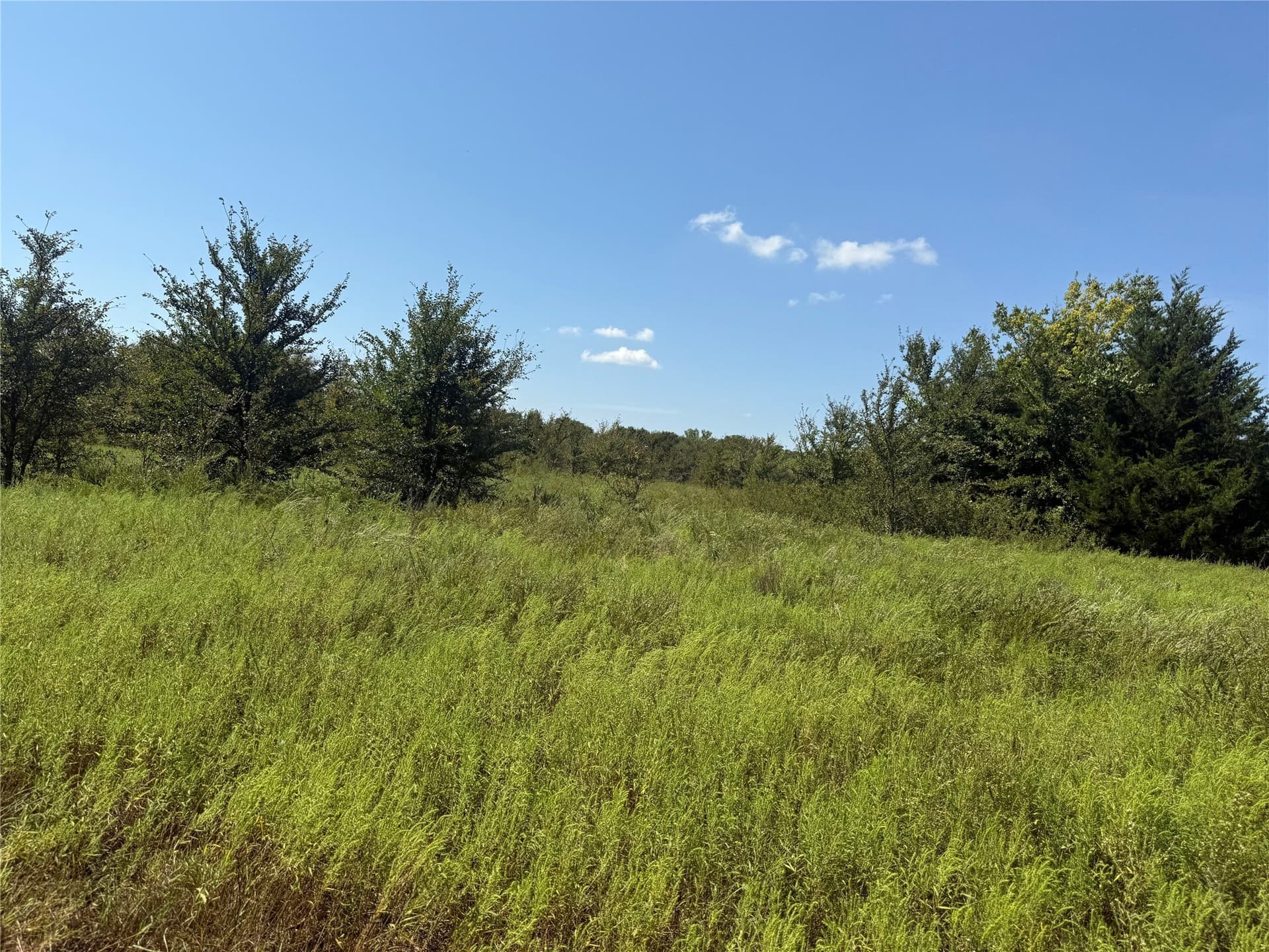 120.1 acres in Grayson County - photo 33