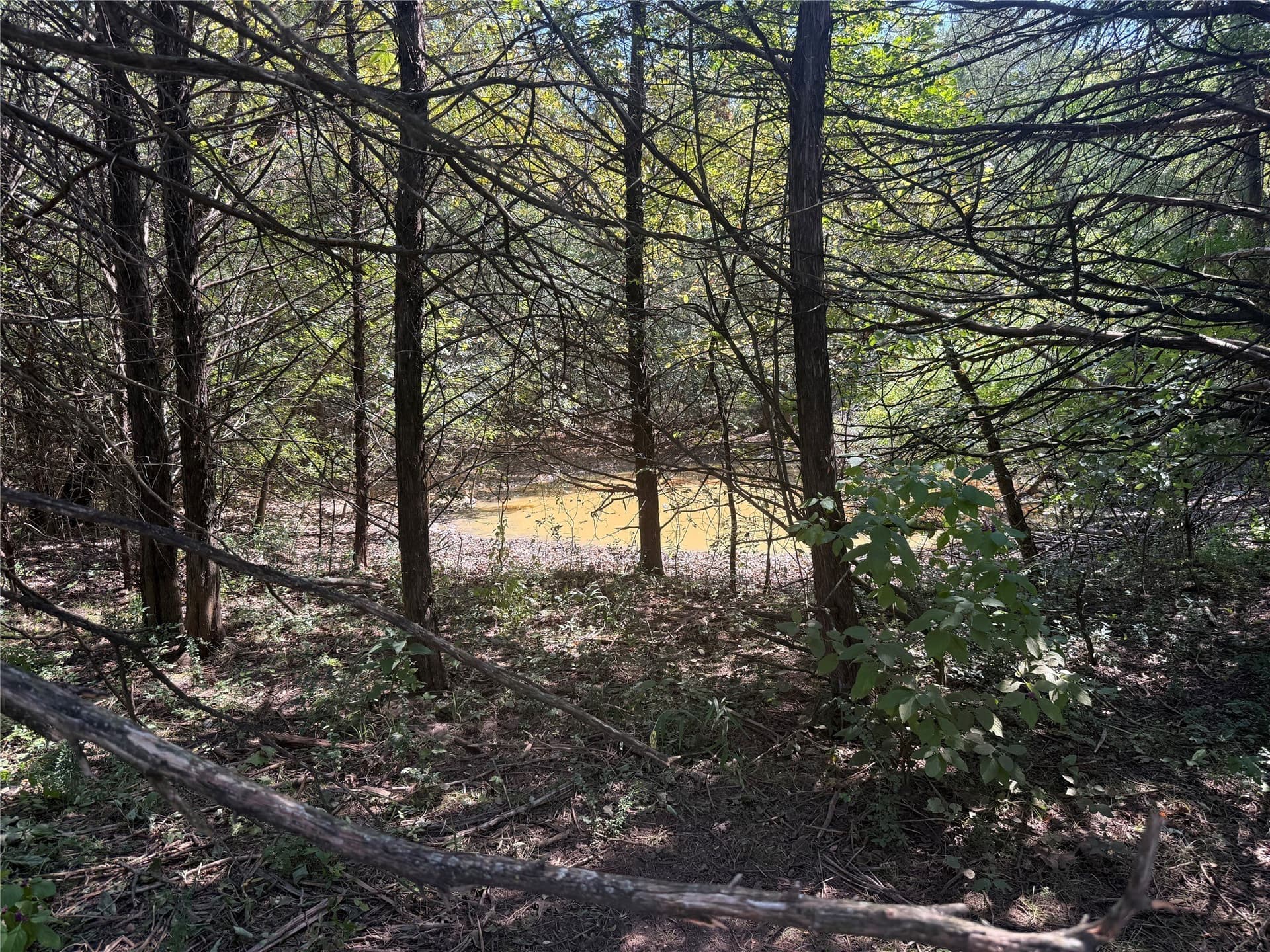 120.1 acres in Grayson County - photo 31