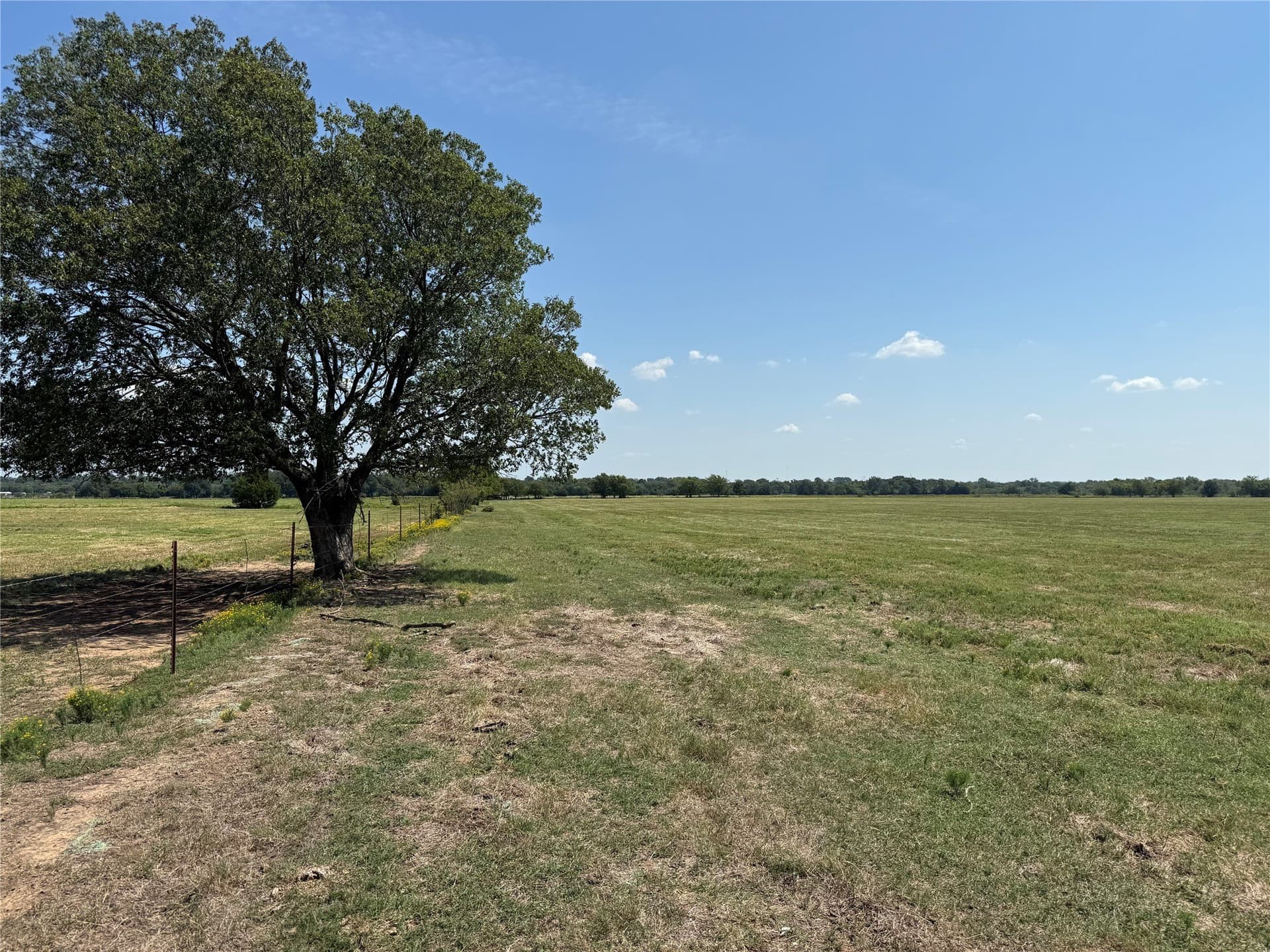 120.1 acres in Grayson County - photo 38