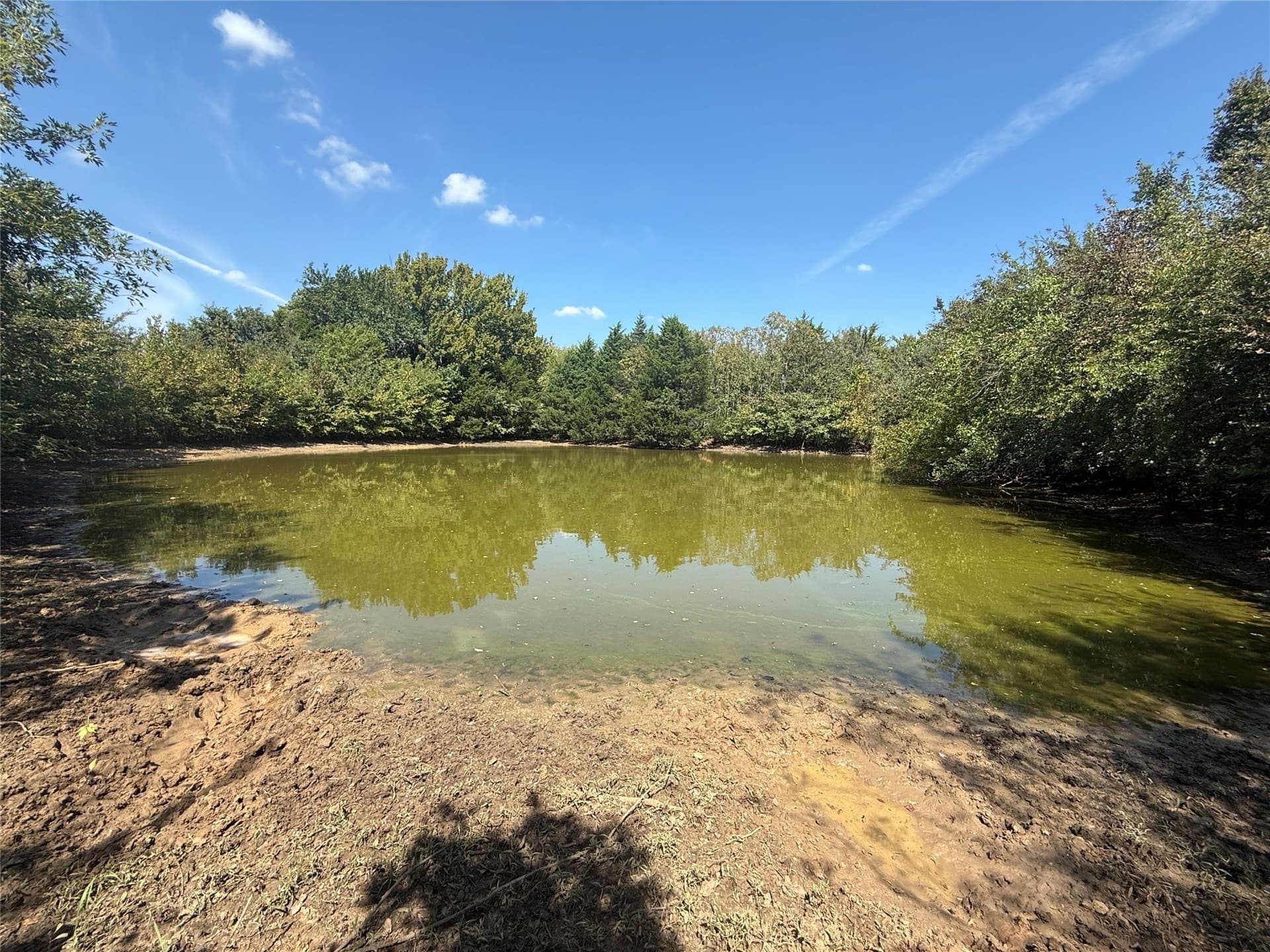 120.1 acres in Grayson County - photo 35