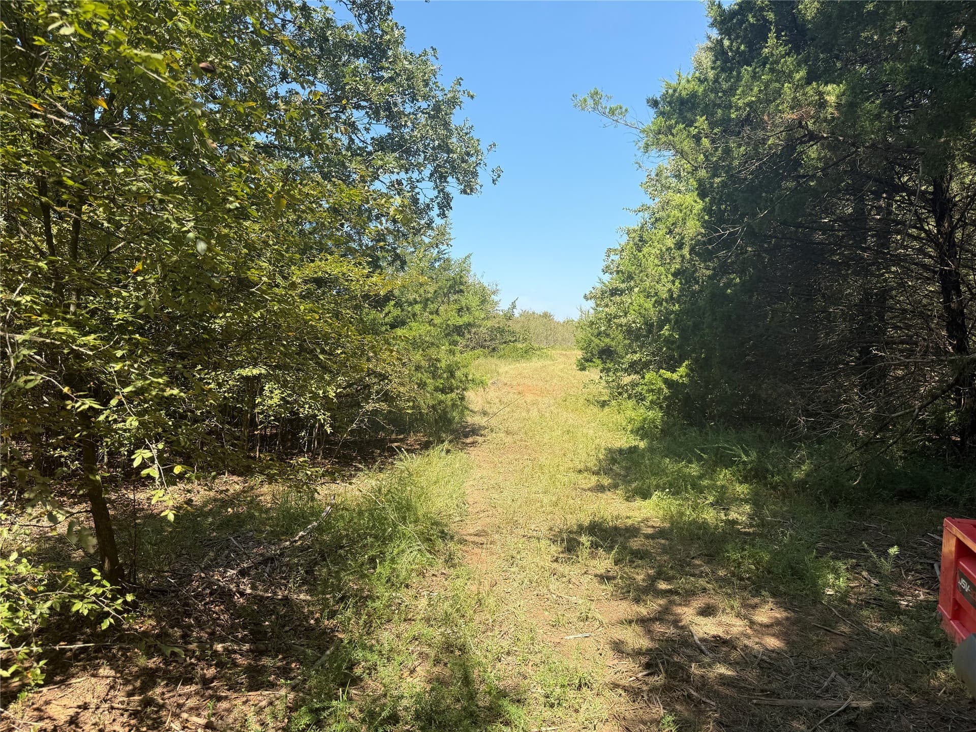 120.1 acres in Grayson County - photo 34