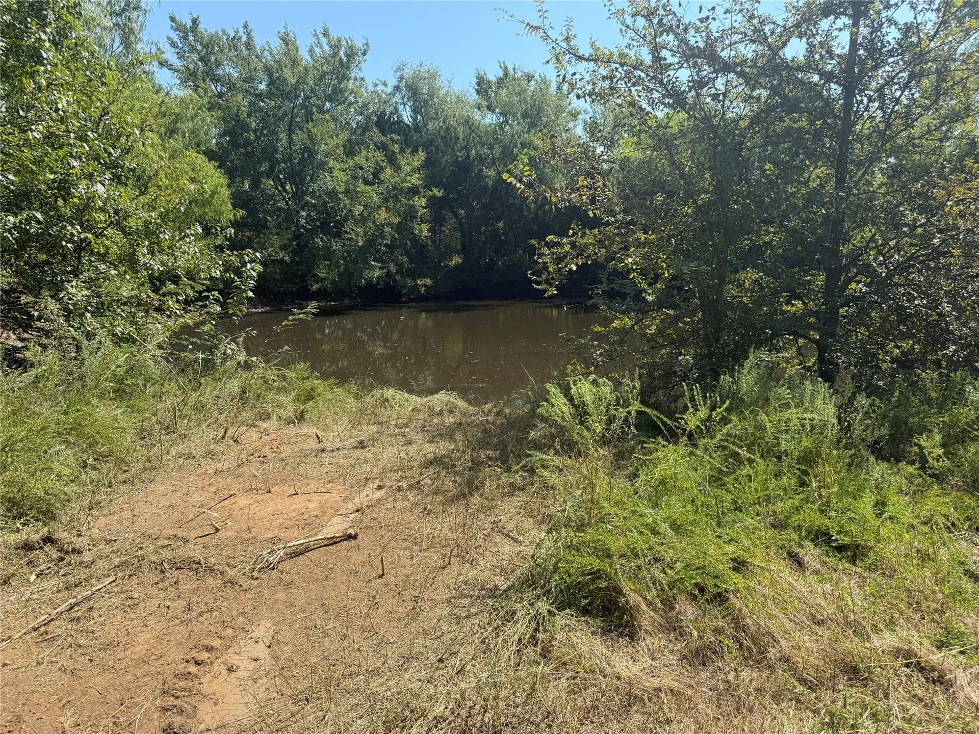 120.1 acres in Grayson County - photo 32