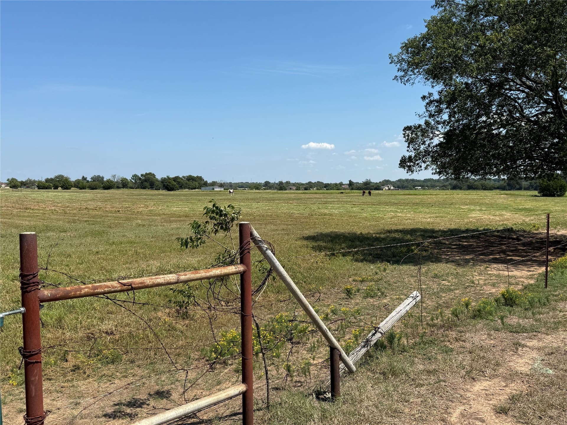 120.1 acres in Grayson County - photo 40