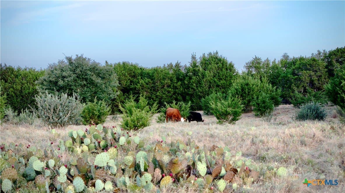 47.47 acres in Lampasas County - photo 3