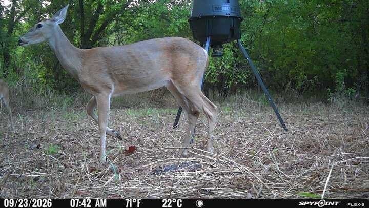 25 acres in Collin County - photo 7