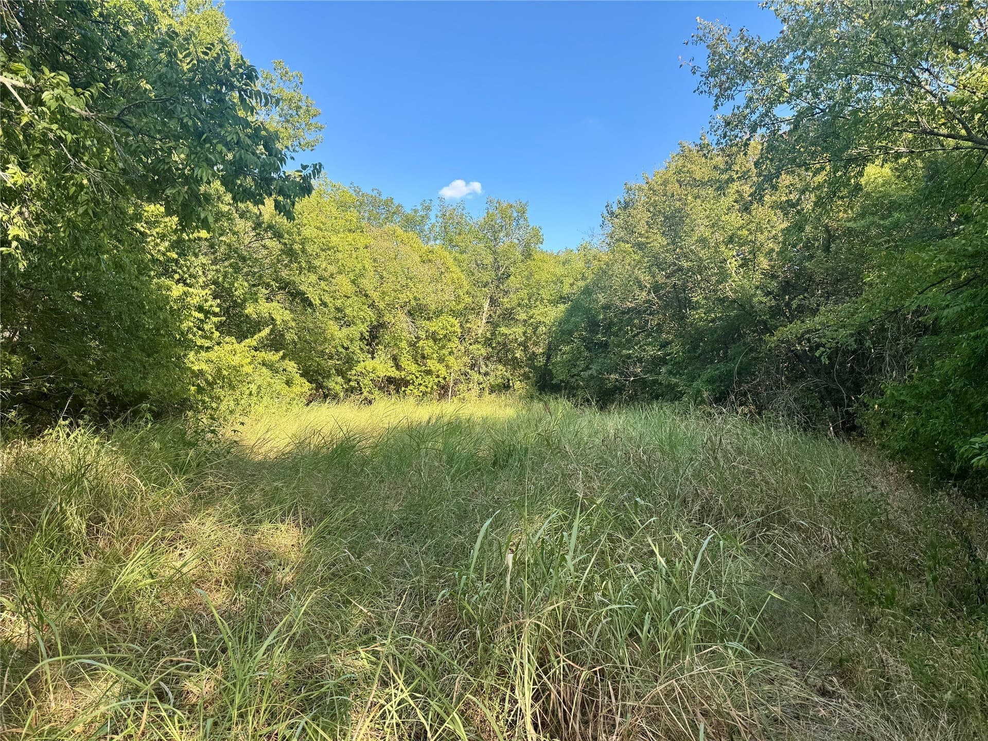25 acres in Collin County - photo 5