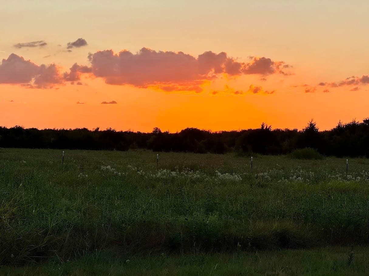 25 acres in Collin County - photo 2