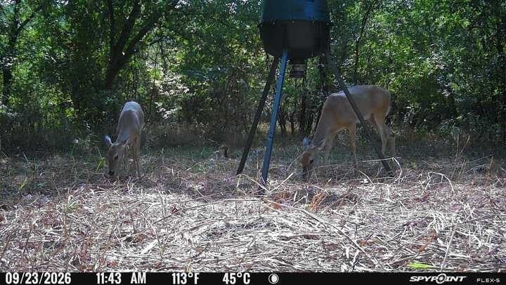 25 acres in Collin County - photo 6