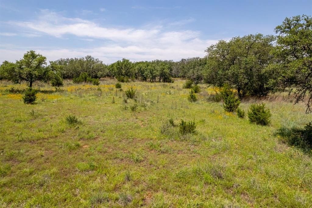 53.97 acres in Mills County gallery image 4