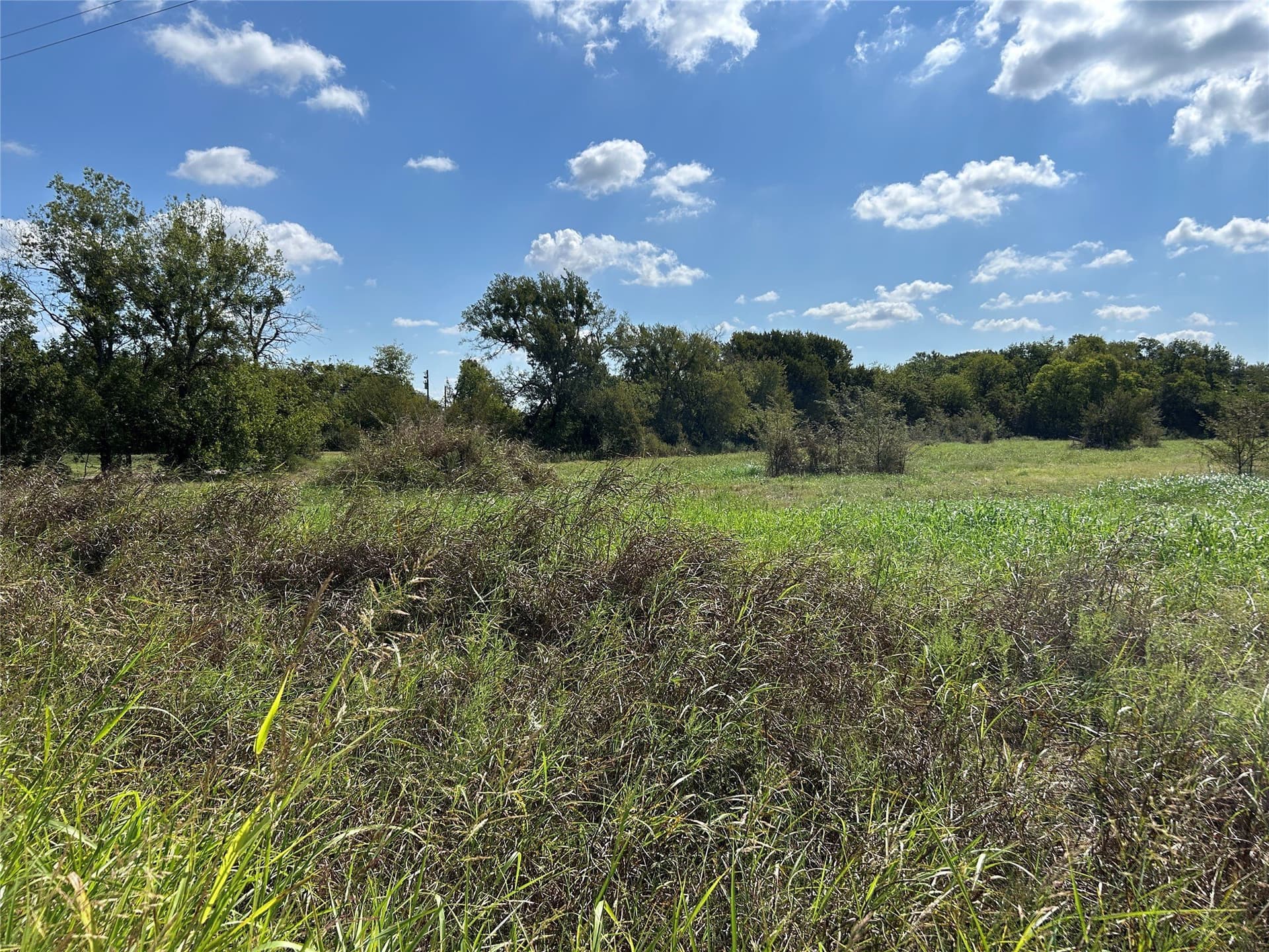 14.66 acres in Kaufman County - photo 7