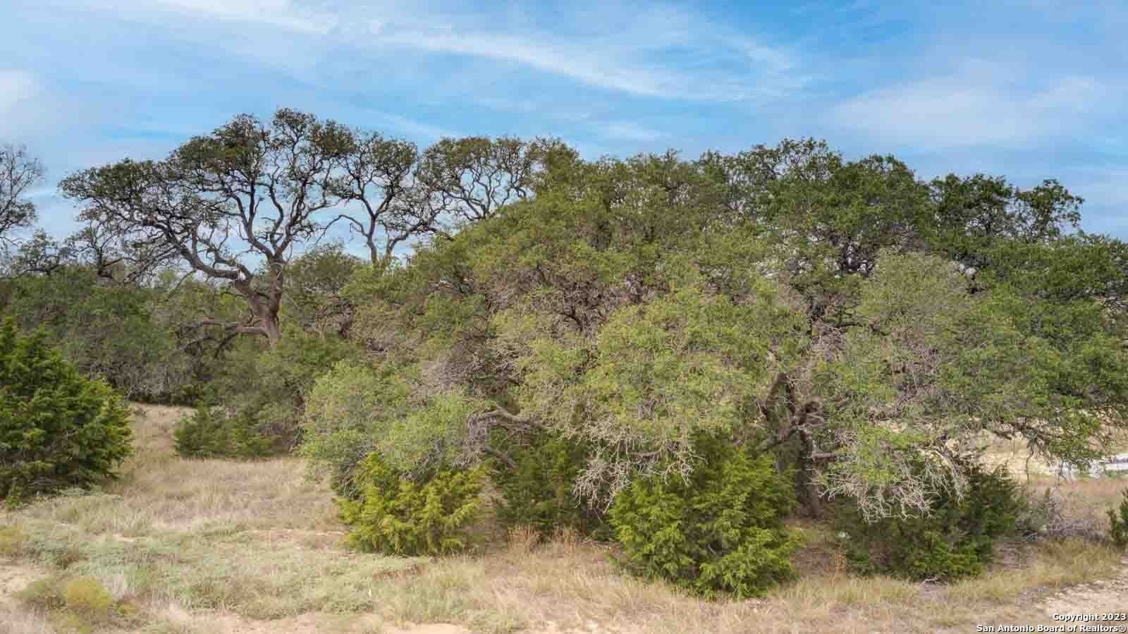 1.26 acres in Comal County - photo 9
