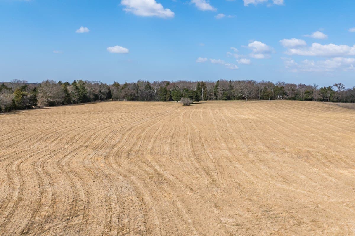 16.39 acres in Van Zandt County - photo 13